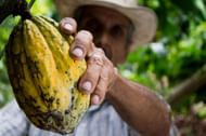 Cacao is known to improve female hormonal balance. (Image via Pexels/ Pixabay)